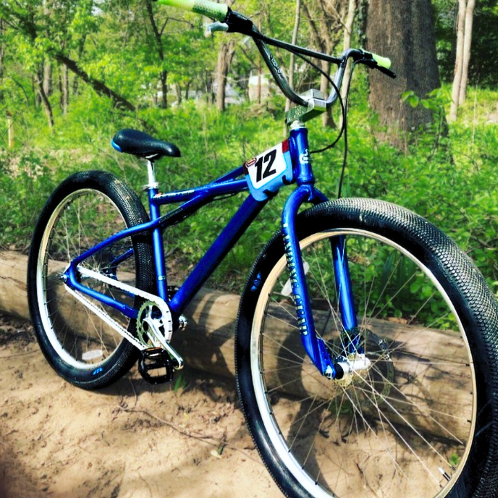BMX Bikes Best Brands - blue BMX bike in a natural setting, showcasing stylish design and sturdy tires.