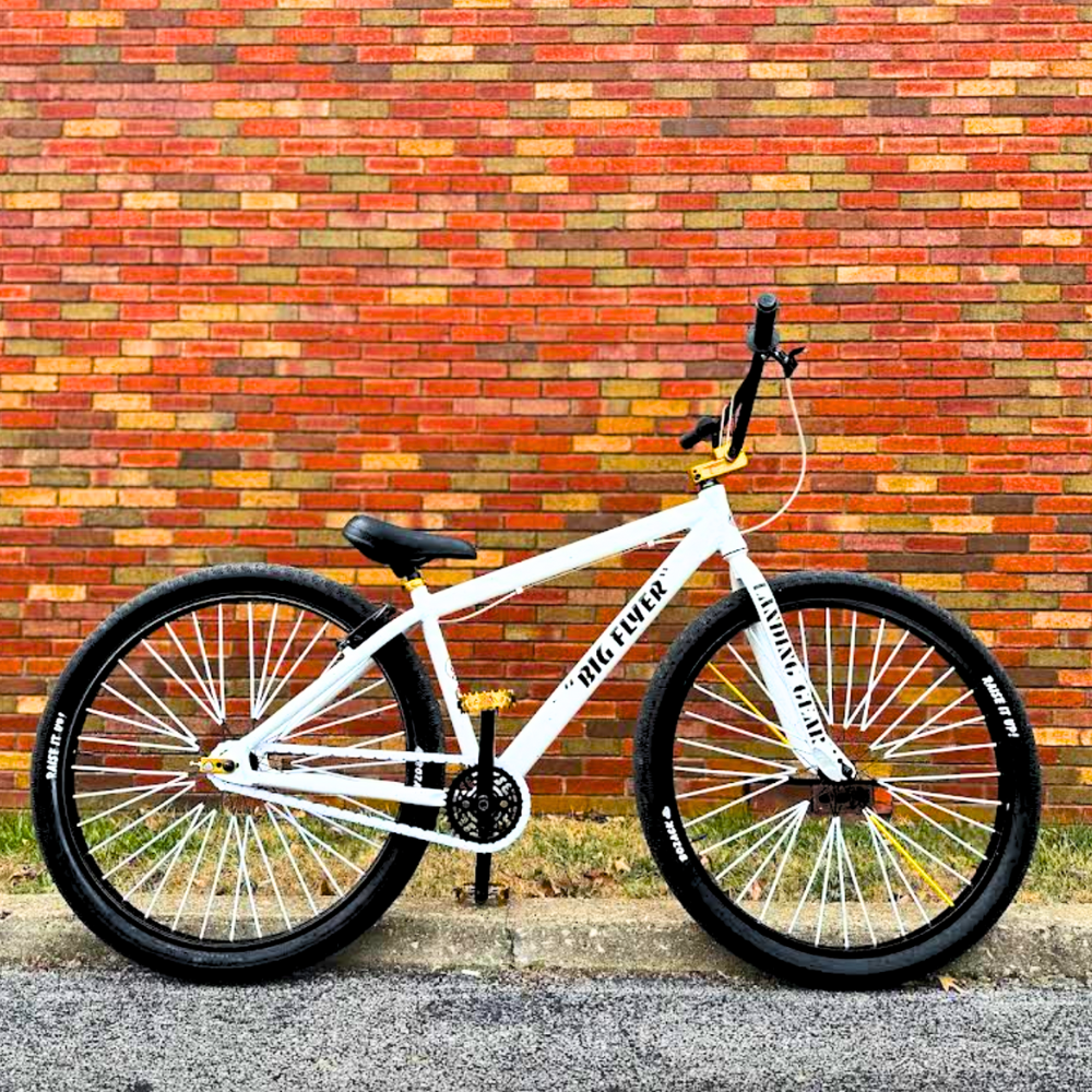 Insane Chains solid white snap-on bike chain caps on SE Big Flyer BMX with black tires, parked against brick wall.