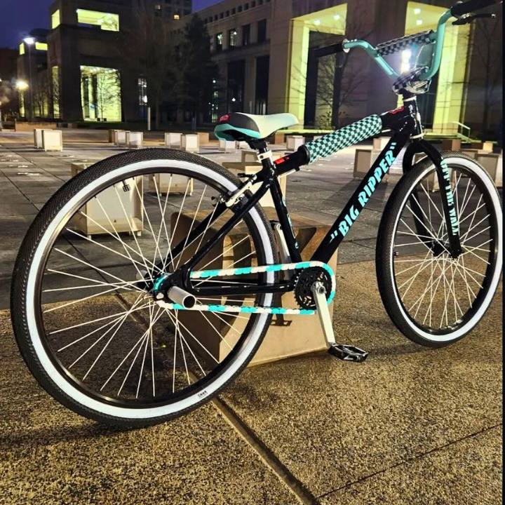 SE Bike Chain on a customized bike featuring white and teal two-tone colors for a bold look.